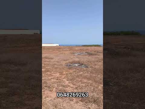 🔥 فرصة ذهبية! أرض للبيع بقرية أركمان الناظور، تصلح لبناء فيلا فاخرة أو إنجاز مشروع استثماري ناجح. 🌊🏡