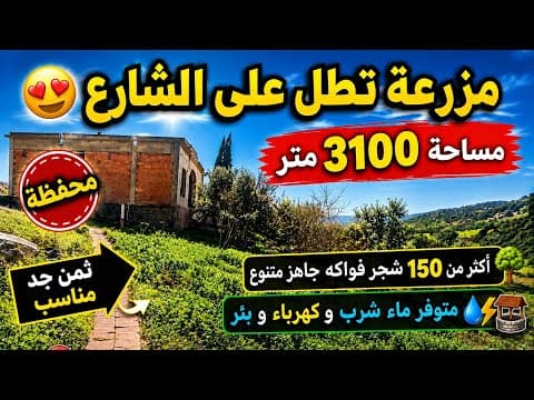 فرمة مع مسكن بناء جديد ferme magnifique sur route  1