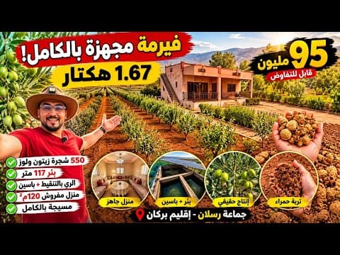 أقوى فيرمة للبيع شفناها بهذا الثمن فيها منزل بالبئر والحكم بعد الجولة 1.67 هكتار بإقليم بركان 1