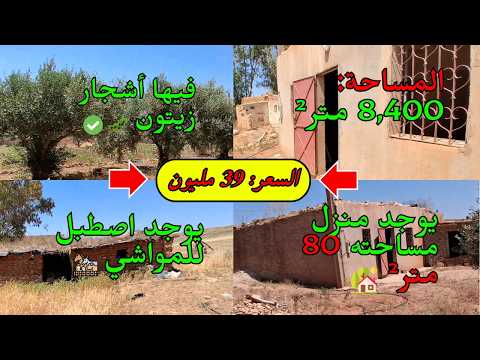 للبيع أرض فلاحية 8400 متر بآيت يدين قرب الخميسات تضم منزل 80م وإسطبل للمواشي 🏡🐄