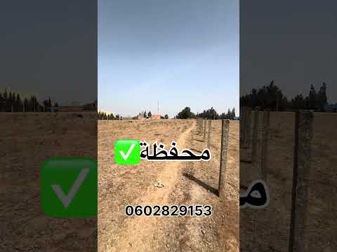 أرض مسجلة ومحفظة للبيع من نواحي بنسليمان📍🇲🇦 1