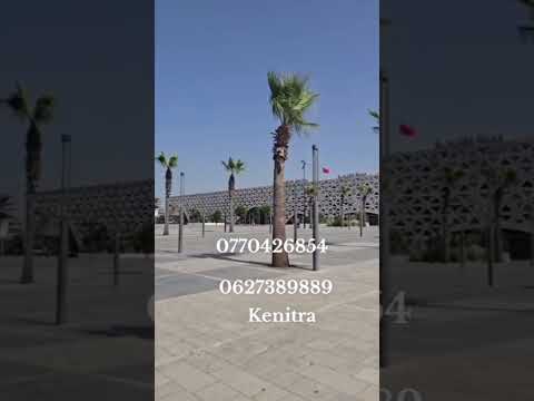 شقه للبيع بمدينة القنيطرة حدا محطة القطار تمن جد مناسب 0770426854 #عقارات0627389889 1
