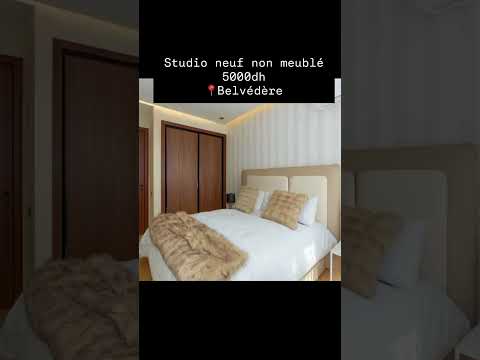 استوديو جديد بيلفيدير + 212 654-749668 1