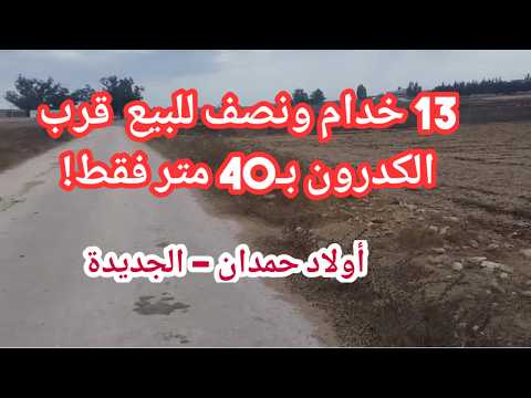 13 خدام ونصف للبيع قرب الطريق المعبدة بـ 40 متراً فقط! | أولاد حمدان 1