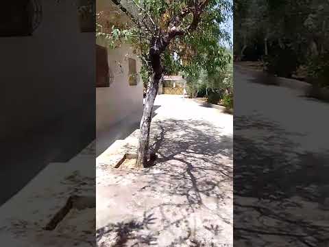 🏡 منزل محفظ مع أرض للبيع – طريق طنجة تطوان (كروشي بلانكو)فرصة مميزة للراغبين في السكن أو الاستثمار