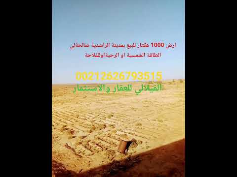ارض 1000 هكتار للبيع بمدينة الراشدية صالحةلي الطاقة الشمسية او الرحيةاوللفلاحة #المغرب #عقارات 1