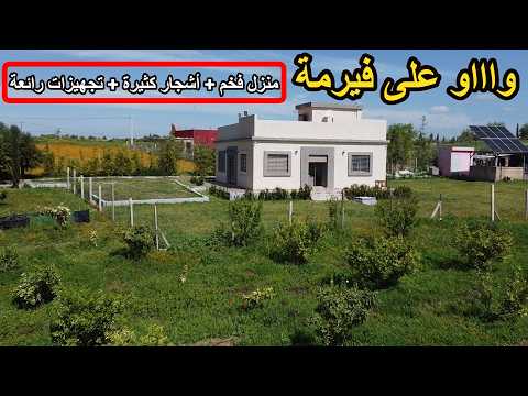 ✨ أجمل فيرمة تشوفها بمنزل فخم وأشجار كثيرة وكلشي جاهز أجي وتبرع ورتاح✨ تيفلت الخميسات