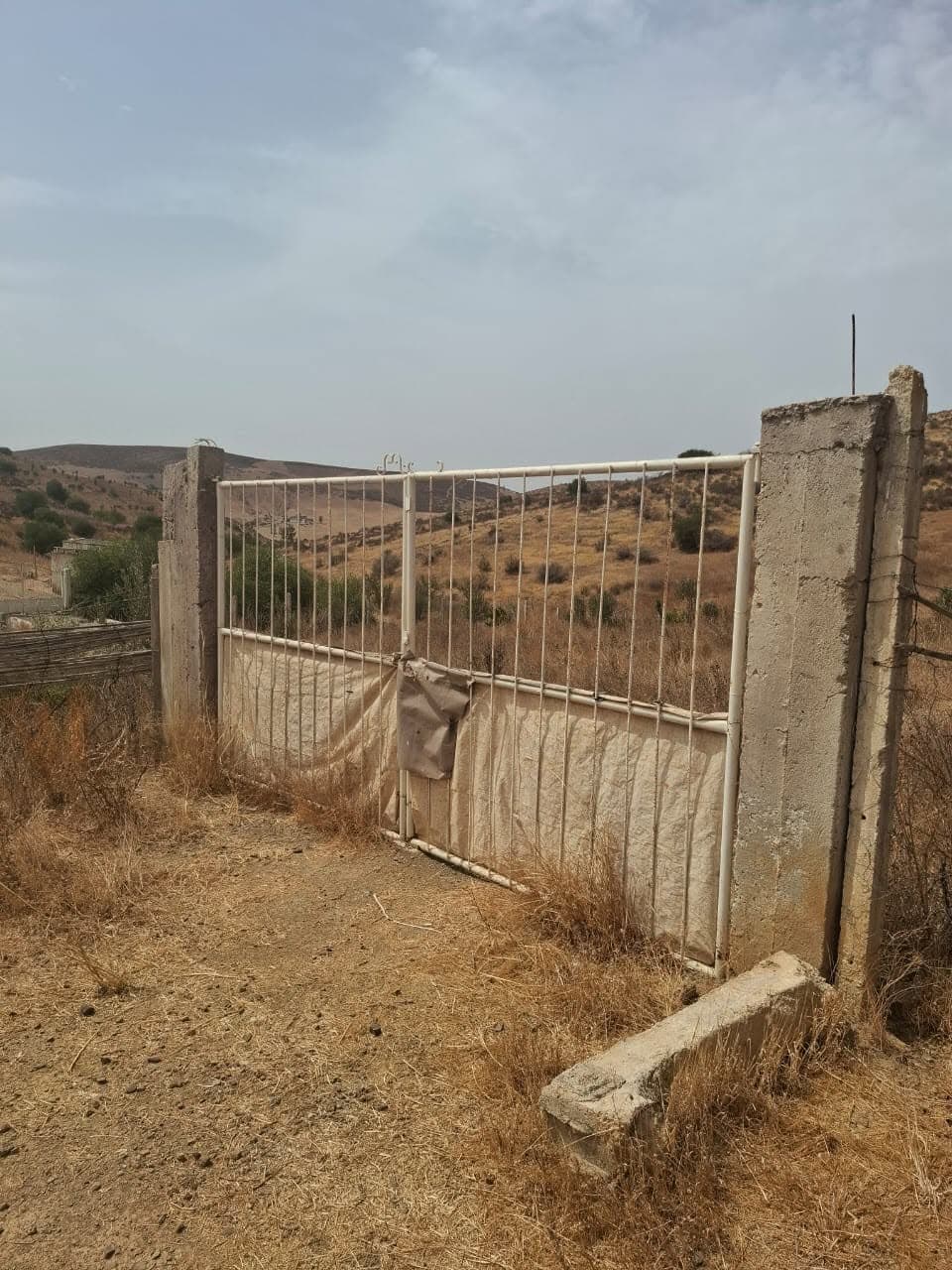 سيدي بطاش · أرض · للبيع 1
