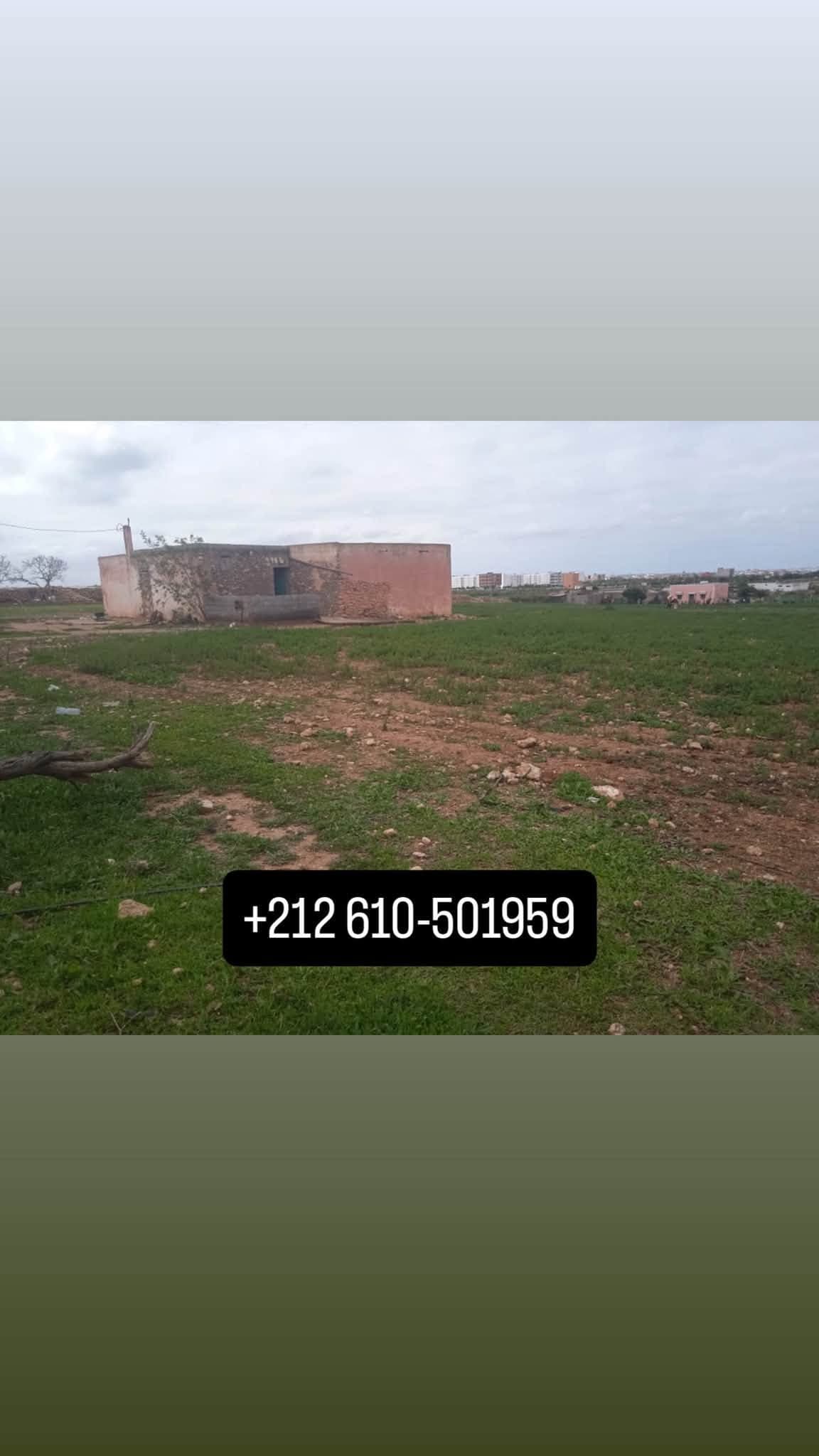El Jadida · Terrain · À vendre 1