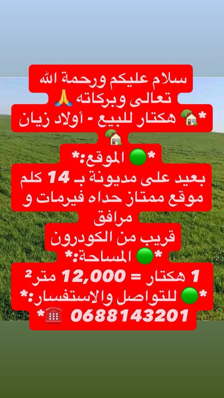 مédiouna · أرض · للبيع 1