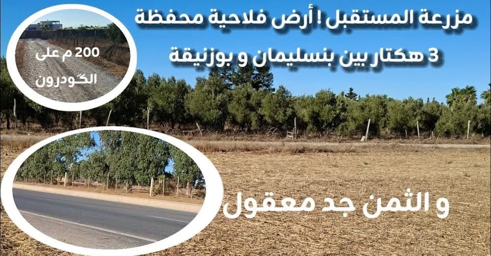 بنسليمان · أرض · للبيع 1