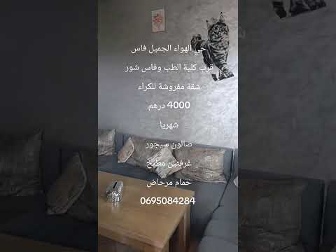 #عقارات #المغرب #فاس حي الهواء الجميل قرب كلية الطب شقة مفروشة للكراء الشهري 4000 درهم 1